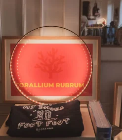 New Affiche Anjuna Boutan Corse 38 X 56 Cm Affiches & Tableaux