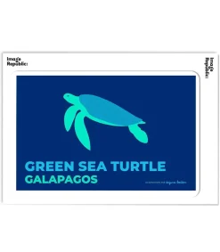 Affiche Anjuna Boutan Galapagos 38 X 56 Cm Affiches & Tableaux