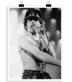 Affiche La Galerie "Freddie Queen" 56 X 76 Cm Affiches & Tableaux