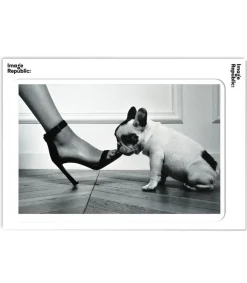 Sale Affiche La Galerie Jane De Boy Raoul 40 X 50 Cm Affiches & Tableaux