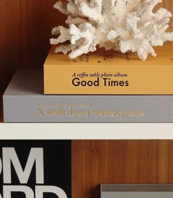 Best Album Photo Good Times Ocre Beaux Livres