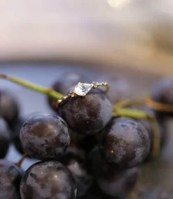 New Bague Cory Aige-Marine Femme Bagues