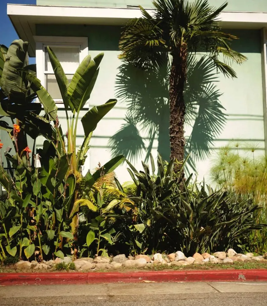 Clearance Bougie #8 The Red Garden 190G Bougies Parfumées