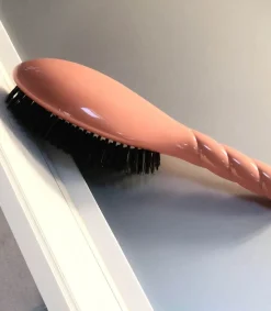 Online Brosse N.01 L'Universelle Soin & Brillance Corail Femme Accessoires Cheveux