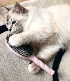 Clearance Brosse N.01 L'Universelle Soin & Brillance Rose Lilas Femme Accessoires Cheveux