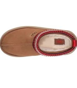 Hot Chaussons Tazz Chestnut Femme Boots & Bottines