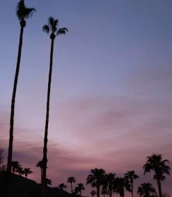 Discount Eau De Toilette #27 Do What You Love 50Ml Femme Eaux De Toilette