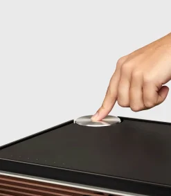 Online Enceinte Multiroom Pr Link Noir/Noyer Enceintes