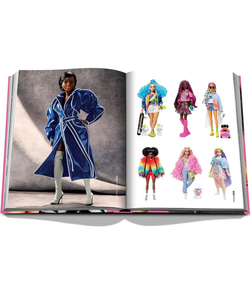 Hot Livre Barbie Beaux Livres