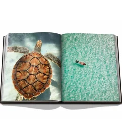 Clearance Livre Jamaica Vibes Beaux Livres