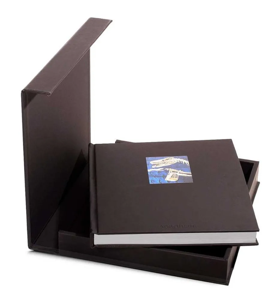 Best Livre Louis Vuitton Windows (Ultimate Edition) Beaux Livres