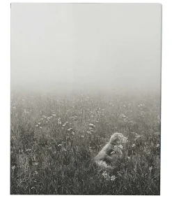 New Livre The Golden Retriever Photographic Society Beaux Livres