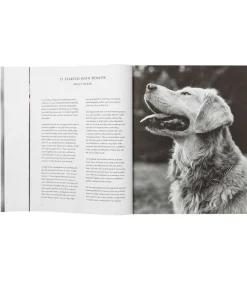 New Livre The Golden Retriever Photographic Society Beaux Livres