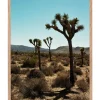 Clearance Tableau Avec Cadre "Joshua Tree" 30X40Cm Affiches & Tableaux