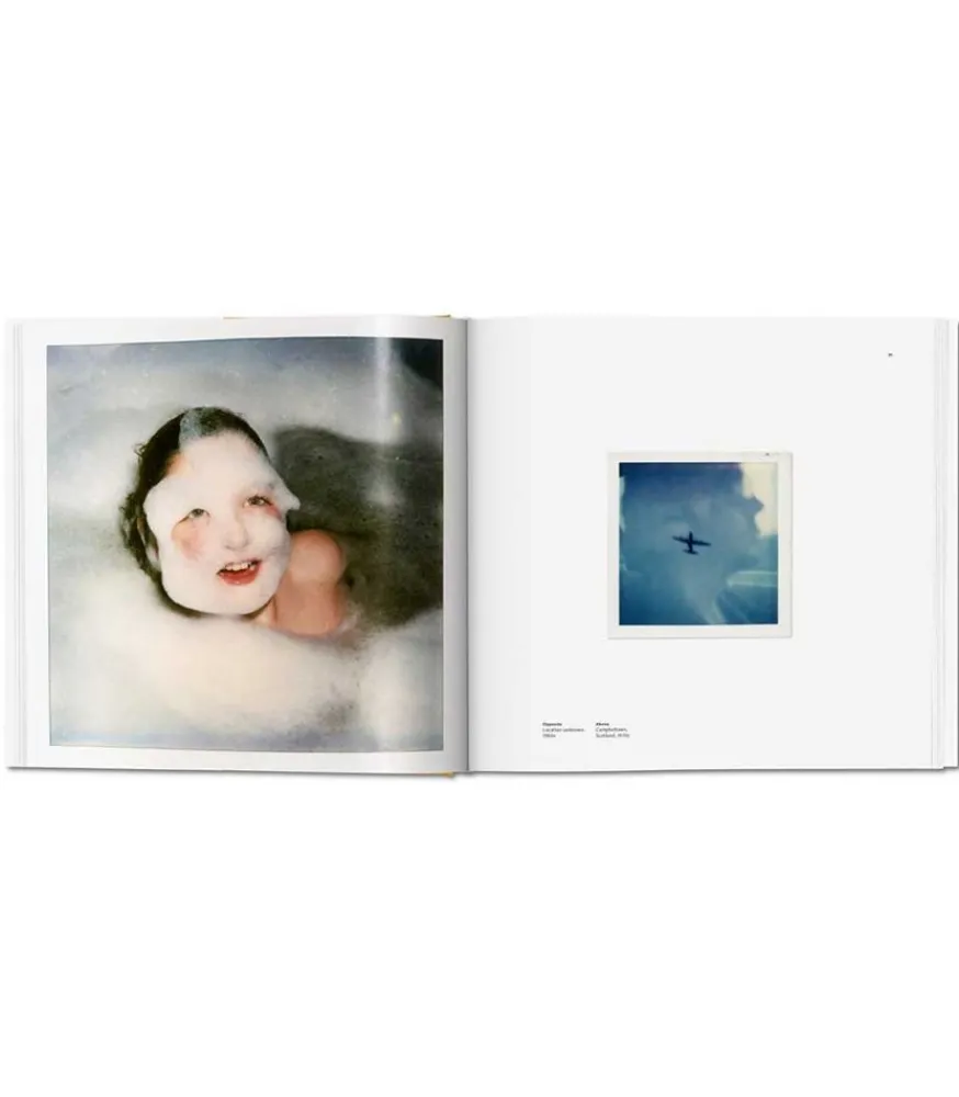 Hot The Polaroid Diaries, Linda Mccartney Beaux Livres